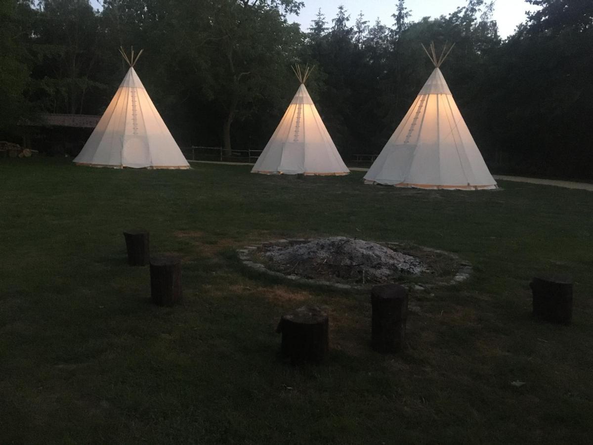 Domaine De Carnin Hotel Beloeil Buitenkant foto