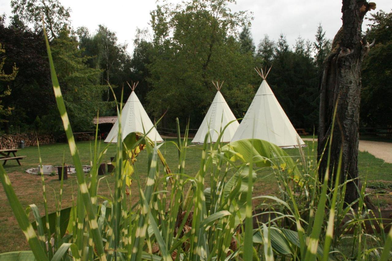 Domaine De Carnin Hotel Beloeil Buitenkant foto